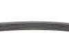 <strong>Пас поліклиновий Skoda Octavia 1.4/1.6 96-10/BMW 5 CONTITECH 6PK1548 (фото 2)</strong>