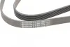 <strong>Пас поліклиновий Skoda Octavia 1.4/1.6 96-10/BMW 5 CONTITECH 6PK1548 (фото 4)</strong>