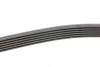 <strong>Пас поліклиновий VW T5/Amarok 2.0TDI 09-/Ford Focu CONTITECH 6PK1555 (фото 2)</strong>