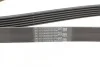 <strong>Пас поліклиновий VW T5/Amarok 2.0TDI 09-/Ford Focu CONTITECH 6PK1555 (фото 3)</strong>