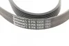 <strong>Пас поліклиновий VW T5/Amarok 2.0TDI 09-/Ford Focu CONTITECH 6PK1555 (фото 4)</strong>