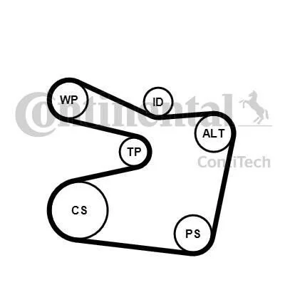 <strong>Комплект доріжкових пасків CONTITECH 6PK1555K2 (фото 1)</strong>