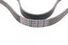 <strong>Пас поліклиновий Citroen Berlingo 1.6 00-08/ Nemo CONTITECH 6PK1560 (фото 2)</strong>