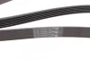 <strong>Пас поліклиновий Citroen Berlingo 1.6 00-08/ Nemo CONTITECH 6PK1560 (фото 3)</strong>
