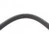 <strong>Пас поліклиновий Citroen Berlingo 1.6 00-08/ Nemo CONTITECH 6PK1560 (фото 4)</strong>