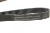 <strong>Ремінь поліклиновий CONTITECH 6PK1570 (фото 4)</strong>