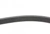 <strong>Пас поліклиновий Opel Combo/Astra G 1.7DTi 01-/VW CONTITECH 6PK1590 (фото 2)</strong>