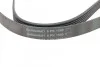<strong>Пас поліклиновий Opel Combo/Astra G 1.7DTi 01-/VW CONTITECH 6PK1590 (фото 4)</strong>