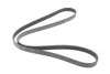 <strong>Пас поліклиновий Opel Combo/Astra G 1.7DTi 01-/VW CONTITECH 6PK1590 (фото 5)</strong>