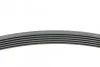 <strong>Пас поліклиновий Opel Combo 1.7DTi 04-/VW Golf/Jet CONTITECH 6PK1600 (фото 2)</strong>