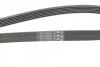 <strong>Пас поліклиновий Opel Combo 1.7DTi 04-/VW Golf/Jet CONTITECH 6PK1600 (фото 3)</strong>