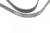 <strong>Пас поліклиновий Opel Combo 1.7DTi 04-/VW Golf/Jet CONTITECH 6PK1600 (фото 4)</strong>