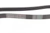 <strong>Пас поліклиновий Opel Astra 1.7CDTi 03-/Renault Me CONTITECH 6PK1605 (фото 2)</strong>