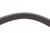 <strong>Пас поліклиновий Opel Astra 1.7CDTi 03-/Renault Me CONTITECH 6PK1605 (фото 3)</strong>