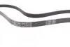<strong>Пас поліклиновий VW Crafter 2.0TDI 11-16/Opel Cors CONTITECH 6PK1613 (фото 2)</strong>