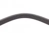 <strong>Пас поліклиновий VW Crafter 2.0TDI 11-16/Opel Cors CONTITECH 6PK1613 (фото 3)</strong>
