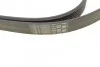 <strong>Комплект пасу поліклинового VW Crafter 2.0TDI 11- CONTITECH 6PK1613K1 (фото 3)</strong>
