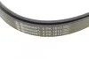 <strong>Комплект пасу поліклинового VW Crafter 2.0TDI 11- CONTITECH 6PK1613K1 (фото 4)</strong>