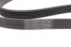 <strong>Ремінь поліклиновий Opel Astra H 1,7d 04> ContiTech CONTITECH 6PK1623 (фото 2)</strong>