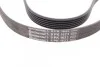 <strong>Ремінь поліклиновий Opel Astra H 1,7d 04> ContiTech CONTITECH 6PK1623 (фото 3)</strong>