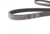 <strong>Пас поліклиновий Renault Megane 2.0 96-03/Opel Ast CONTITECH 6PK1635 (фото 2)</strong>