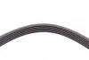<strong>Пас поліклиновий Renault Megane 2.0 96-03/Opel Ast CONTITECH 6PK1635 (фото 3)</strong>