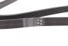 <strong>Пас поліклиновий VW LT 2.8TDI 97-06/Ford Transit 2 CONTITECH 6PK1642 (фото 2)</strong>