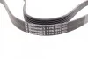 <strong>Пас поліклиновий VW LT 2.8TDI 97-06/Ford Transit 2 CONTITECH 6PK1642 (фото 3)</strong>