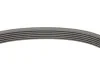 <strong>Комплект ременя генератора CONTITECH 6PK1642K3 (фото 2)</strong>