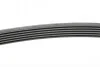 <strong>Ремінь поліклиновий Skoda Octavia I 1,9TDI, VW Golf IV 1,9TDI ContiTech CONTITECH 6PK1660 (фото 2)</strong>
