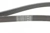 <strong>Ремінь поліклиновий Skoda Octavia I 1,9TDI, VW Golf IV 1,9TDI ContiTech CONTITECH 6PK1660 (фото 3)</strong>