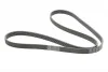 <strong>Ремінь поліклиновий Skoda Octavia I 1,9TDI, VW Golf IV 1,9TDI ContiTech CONTITECH 6PK1660 (фото 5)</strong>