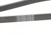 <strong>Пас поліклиновий Citroen Berlingo 1.9D (1868) CONTITECH 6PK1680 (фото 4)</strong>