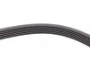 <strong>Ремень генератора LT 2.8 02> CONTITECH 6PK1685 (фото 3)</strong>
