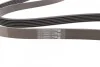 <strong>Пас поліклиновий Skoda Yeti/Seat Toledo/VW Touran/ CONTITECH 6PK1693 (фото 3)</strong>