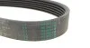 <strong>Комплект пасу поліклинового з насосом VW Caddy III CONTITECH 6PK1693WP1 (фото 3)</strong>