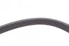 <strong>Пас поліклиновий Skoda Fabia/VW Passat B6/B7 09-14 CONTITECH 6PK1698 (фото 4)</strong>