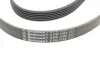 <strong>Ремінь поліклиновий Peugeot Partner 1,6HDI 05>, 08> ContiTech CONTITECH 6PK1705 (фото 3)</strong>