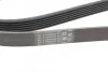 <strong>Ремінь поліклиновий Peugeot Partner 1,6HDI 05>, 08> ContiTech CONTITECH 6PK1705 (фото 4)</strong>