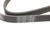 <strong>Ремінь поліклиновий VW LT 2,5TDI, Ford Connect 1,8D 02>07 ContiTech CONTITECH 6PK1715 (фото 3)</strong>