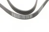 <strong>Ремінь поліклиновий VW LT 2,5TDI, Ford Connect 1,8D 02>07 ContiTech CONTITECH 6PK1715 (фото 4)</strong>
