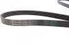 <strong>Пас поліклиновий Ford Connect 1.8 TDCI CONTITECH 6PK1720 (фото 2)</strong>