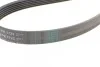 <strong>Пас поліклиновий Opel Vectra/Omega 1.8-2.2 86-03/A CONTITECH 6PK1725 (фото 3)</strong>