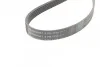 <strong>Пас поліклиновий Opel Vectra/Omega 1.8-2.2 86-03/A CONTITECH 6PK1725 (фото 4)</strong>