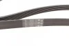<strong>Пас поліклиновий VW Golf IV/Passat 1.4/1.6FSI 03-1 CONTITECH 6PK1733 (фото 2)</strong>