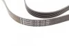 <strong>Пас поліклиновий VW Golf IV/Passat 1.4/1.6FSI 03-1 CONTITECH 6PK1733 (фото 3)</strong>