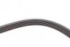 <strong>Пас поліклиновий VW Golf IV/Passat 1.4/1.6FSI 03-1 CONTITECH 6PK1733 (фото 4)</strong>