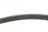 <strong>Пас поліклиновий Peugeot 206/406/806/Expert/Fiat S CONTITECH 6PK1740 (фото 2)</strong>