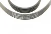 <strong>Пас поліклиновий Peugeot 206/406/806/Expert/Fiat S CONTITECH 6PK1740 (фото 3)</strong>