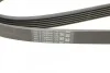 <strong>Пас поліклиновий Peugeot 206/406/806/Expert/Fiat S CONTITECH 6PK1740 (фото 4)</strong>